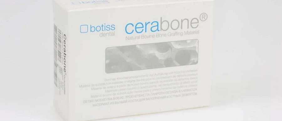 Bone replacement material